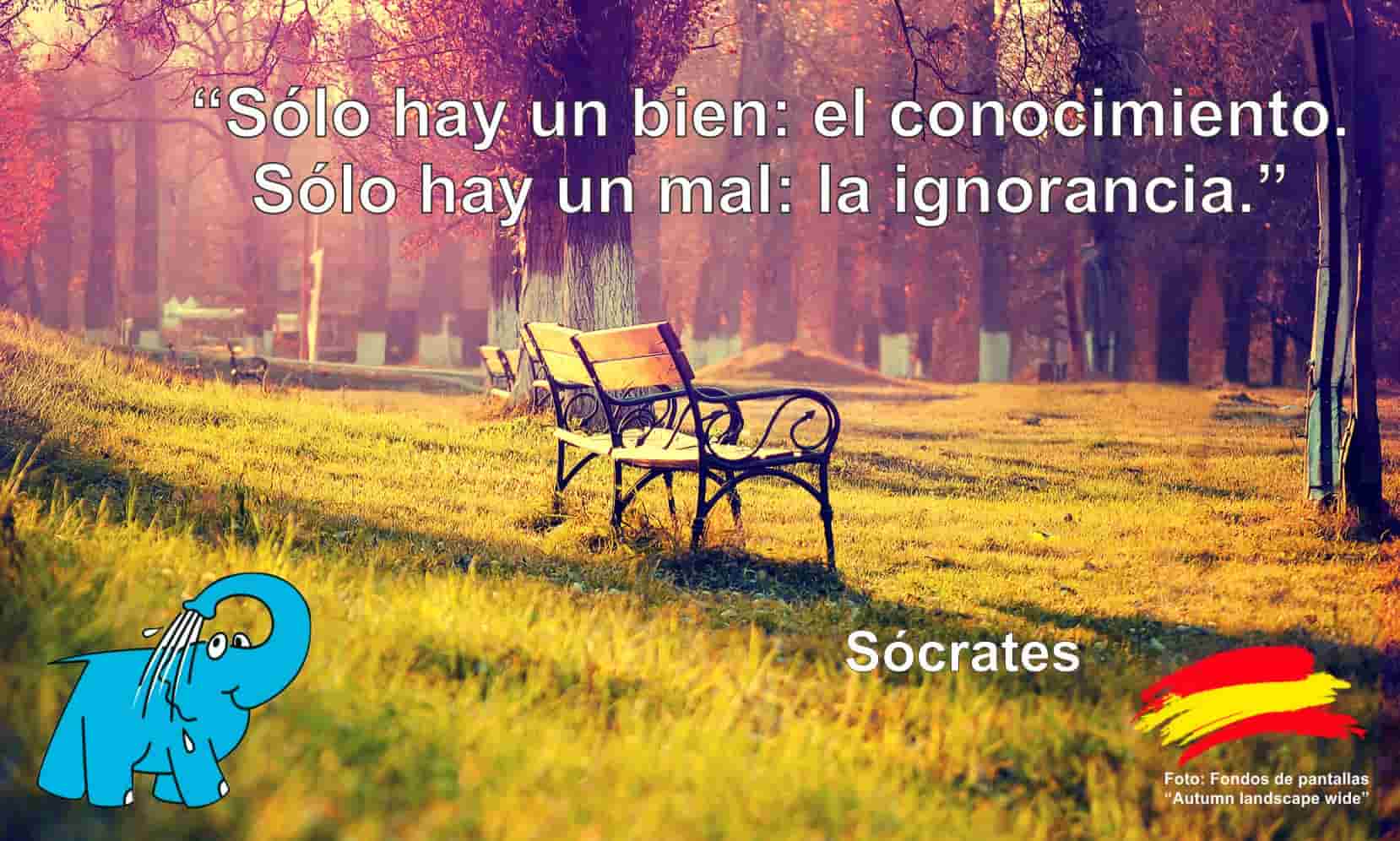 Sólo hay un bien: el conocimiento. Sólo hay un mal: la ignorancia.